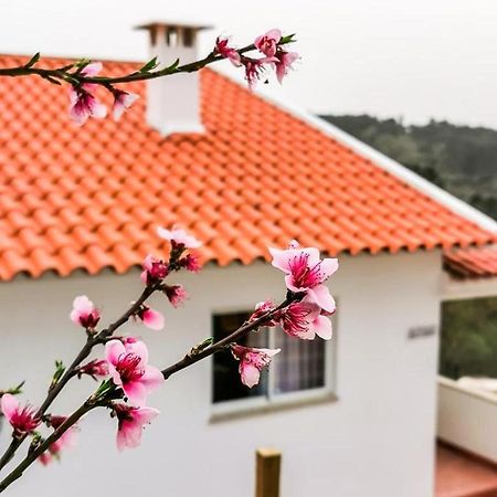 Vila O Refugio Coimbra Exteriér fotografie