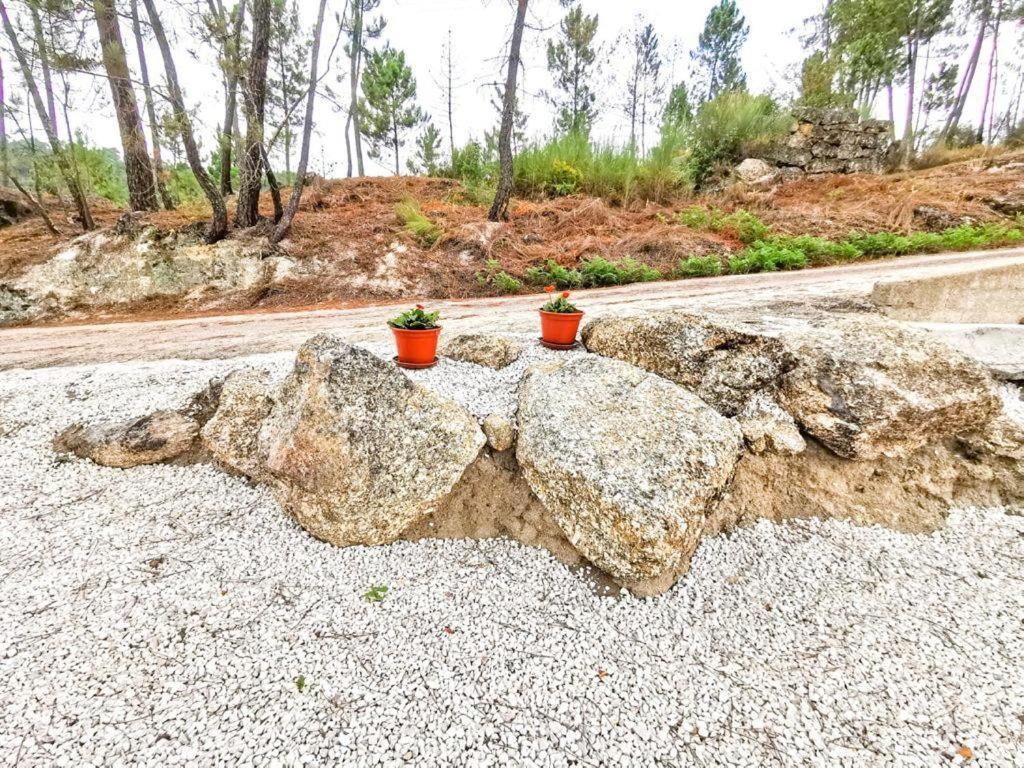 Vila O Refugio Coimbra Exteriér fotografie