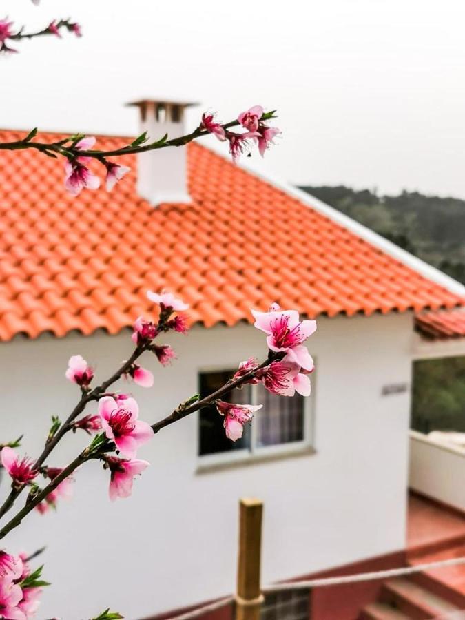 Vila O Refugio Coimbra Exteriér fotografie