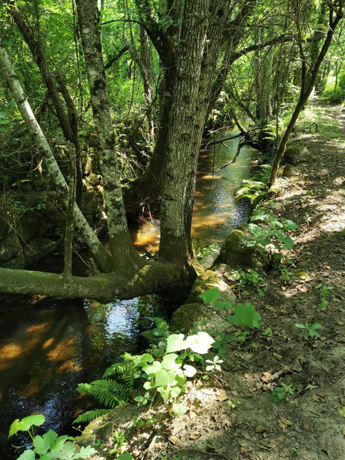 Vila O Refugio Coimbra Exteriér fotografie