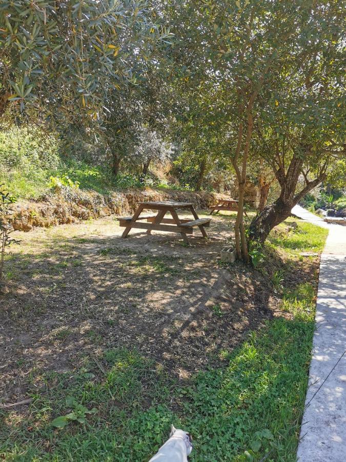 Vila O Refugio Coimbra Exteriér fotografie