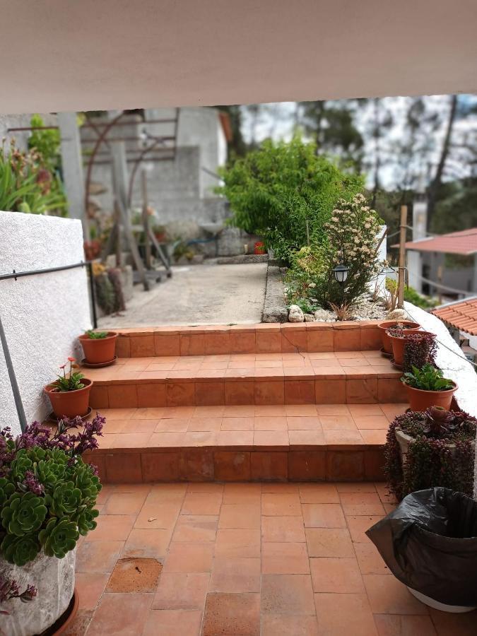 Vila O Refugio Coimbra Exteriér fotografie