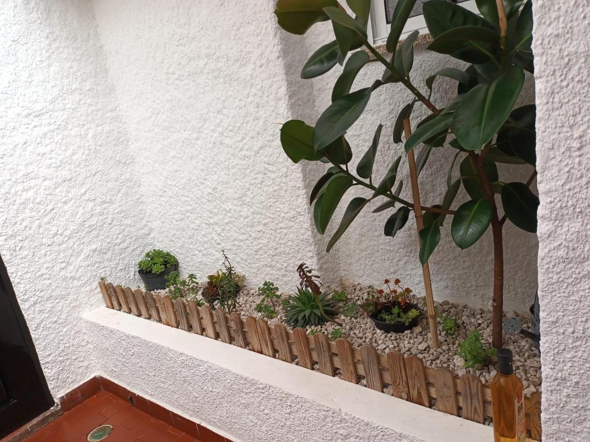 Vila O Refugio Coimbra Exteriér fotografie